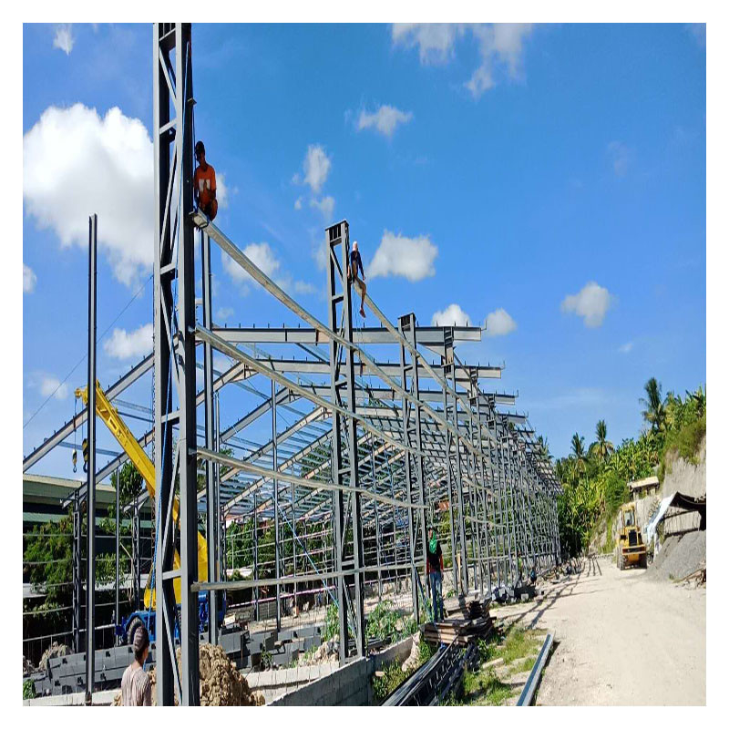 Filippijnse staalconstructie voor grote uitgestrekt workshop magazijn fabriek