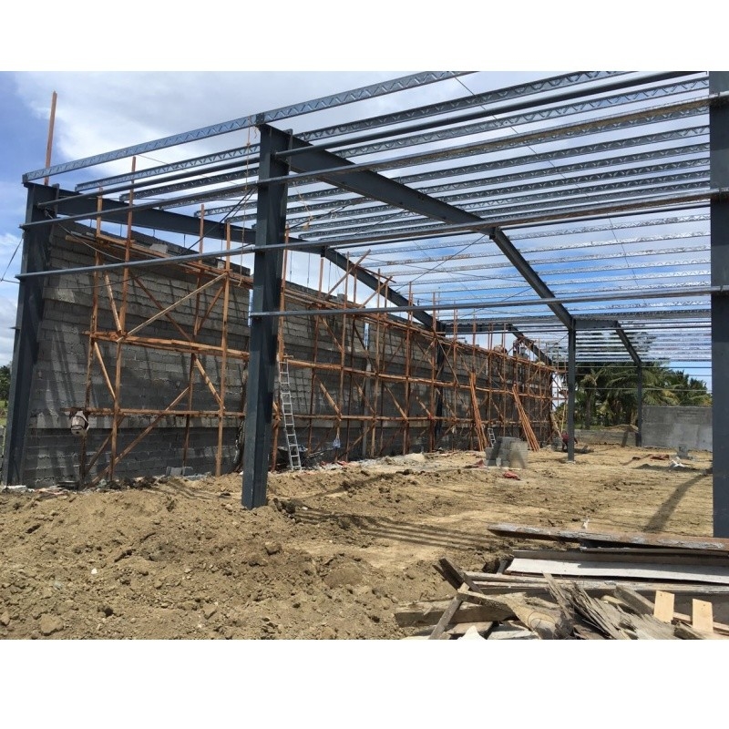 Export naar de Filippijnen Brick Wall Hot Dip Galvanized C-vormig Gegalvaniseerd Stalen Frame Voor Warehouse Building