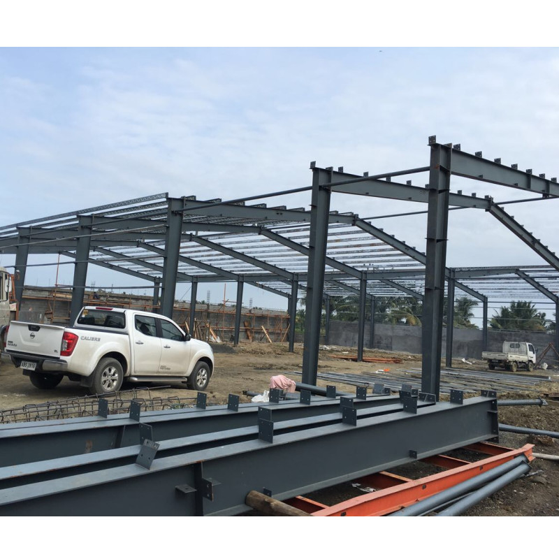 Export naar de Filippijnen Brick Wall Hot Dip Galvanized C-vormig Gegalvaniseerd Stalen Frame Voor Warehouse Building