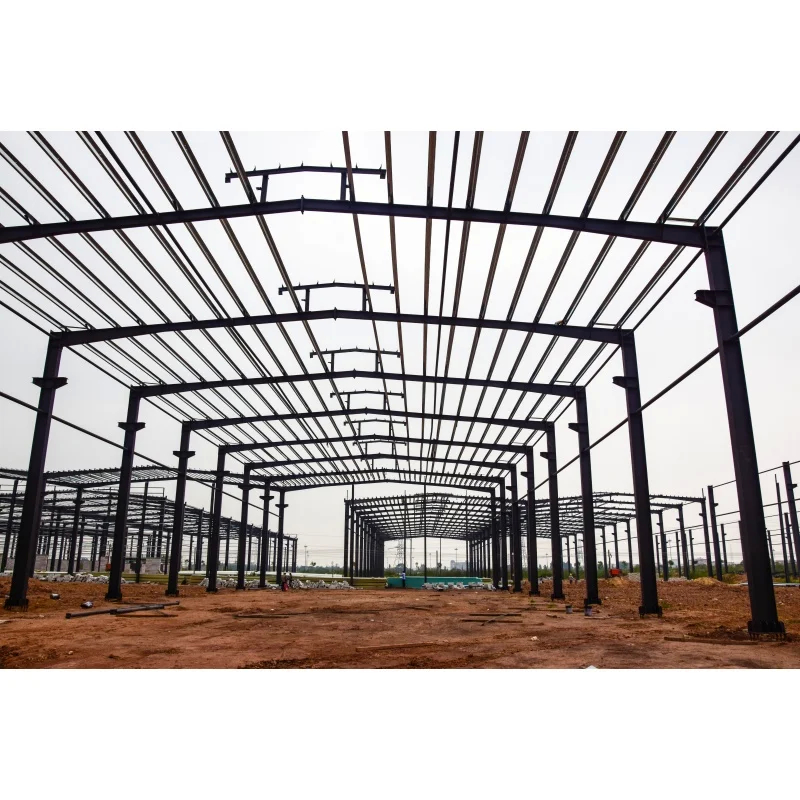 Verf op maat of warm gedompeld gegalvaniseerd lichtstaal frame constructie voor gebouwen
